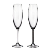 Набор бокалов Crystalite Bohemia Colibri/Gastro 220 мл (2 шт.) Repast
