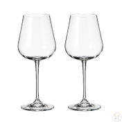 Набор бокалов для вина Crystalite Bohemia Аrdea/Amudsen 450 мл (2 шт.) Repast
