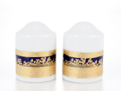 Комплект для специй Falkenporzellan Constanza Cobalt Gold(2 шт.)